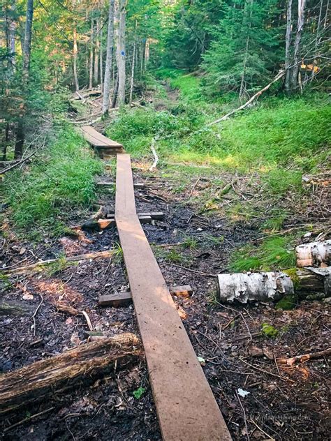 Panther Peak via Santanoni Road | Santanoni Range | Adirondacks ...