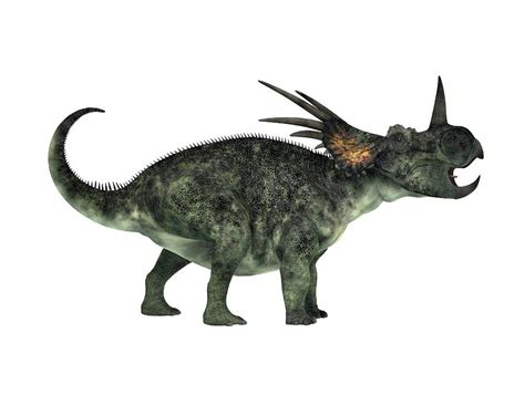 Styracosaurus Facts, Habitat, Diet, Fossils, Pictures