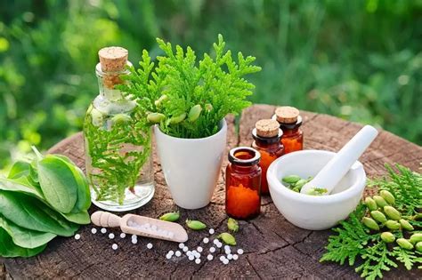 Benefits of Herbal Medicine - Wakunaga of America