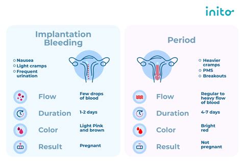 Menstrual Bleeding Vs Implantation Bleeding