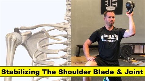 Shoulder Stability – Squat University