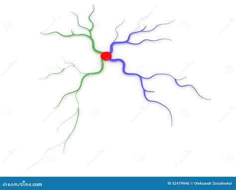 Color map of the mind #2 stock illustration. Illustration of axon - 32479946