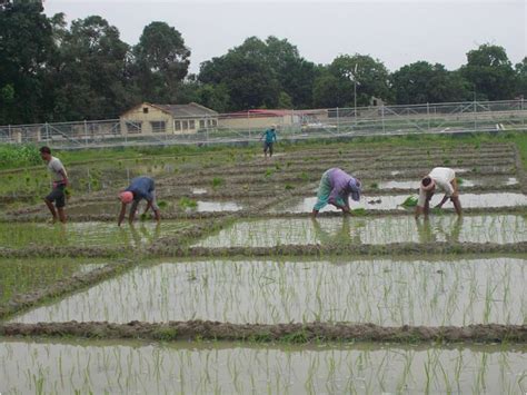 Field experiments - Sustainability Methods