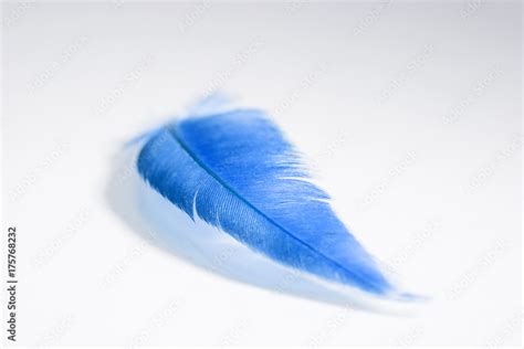 Colorful rooster feather with details and reflexions Stock Photo ...