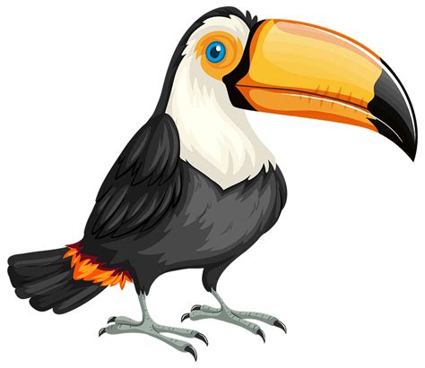 Toucan clipart. Free download transparent .PNG | Creazilla