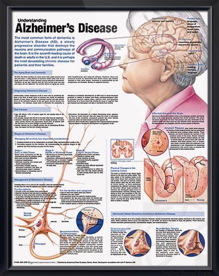 Pin on Doctors Anatomy Posters