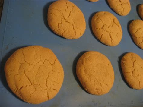 Canadian Maple Cookies Recipe - Food.com