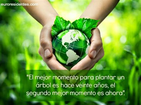 Frases para cuidar el Medio Ambiente