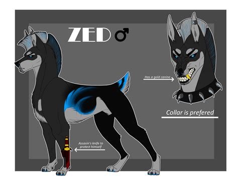 Zed-Reference-2020 by H0TAR0 on DeviantArt