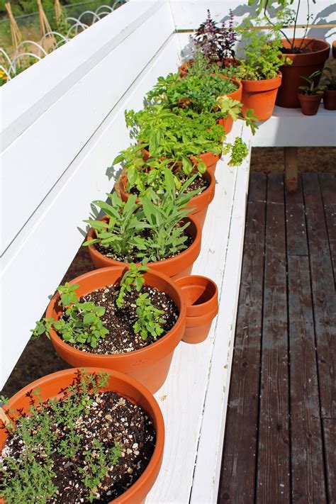 Nurturing A Simple Life: Potted Herb Garden