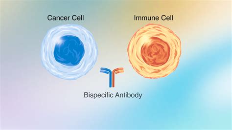 Bispecific Antibody Therapy for Lymphoma: What You Need to Know | Dana ...