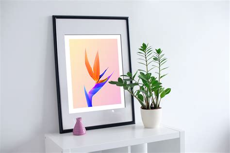 Birds of Paradise Wallpaper :: Behance