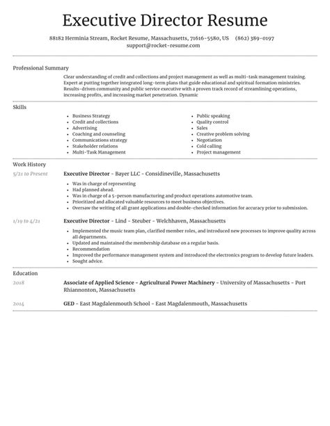 Executive Director Resume Template Word