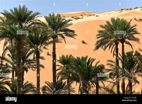 Arabian Desert Oasis Town