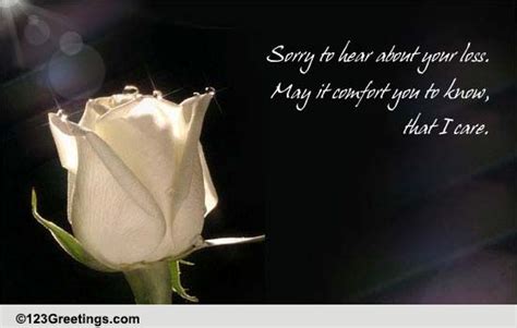 Sorry For Your Loss... Free Sympathy & Condolences eCards | 123 Greetings