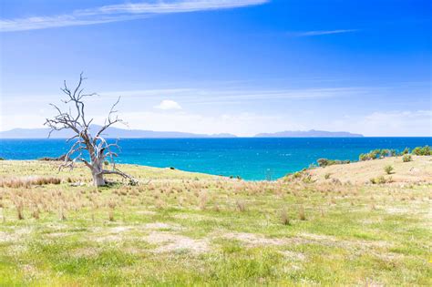 Old Convict Road in Orford | Discover Tasmania