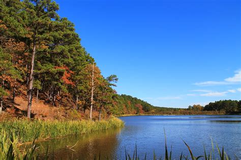 Cedar Lake Trail (Ouachita Forest) – 3 mi | Arklahoma Hiker