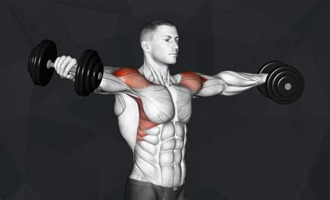 The 10 Best Dumbbell Exercises (Updated 2024) - Jacked Gorilla