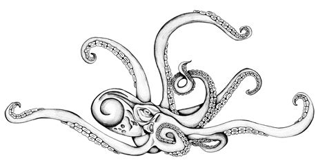 ArtStation - Kraken Tattoo Design