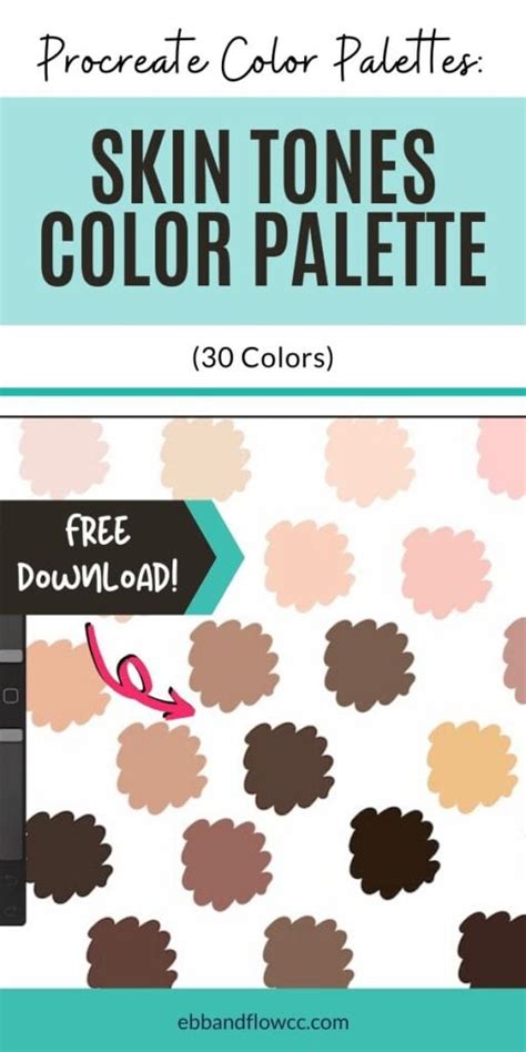 Skin Color Palette for Procreate - Ebb and Flow Creative Co