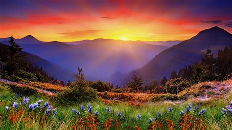 Wallpaper : landscape, sunset, hill, nature, sunrise, evening, morning, wilderness, dusk, New ...