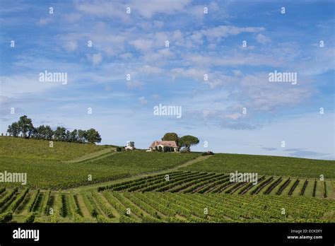 France, Dordogne, Perigord Pourpre, Monbazillac vineyards Stock Photo - Alamy
