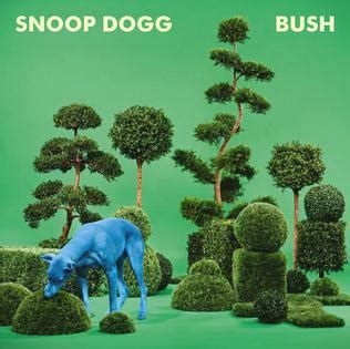 File:Bush Album Cover.jpg - Wikipedia