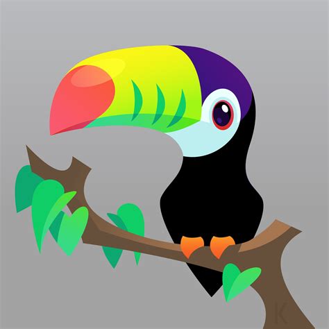 Toucan vector drawing by Karianne Hutchinson Illustration illustrator ...