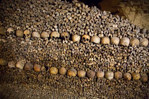 Paris Catacombs Bones | darosenbauer | Flickr