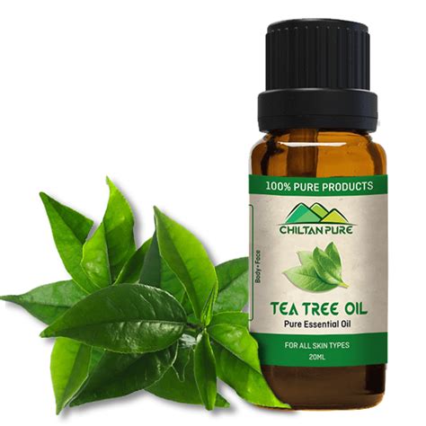 Tea tree: funziona come antimicotico? - Mamma Perfetta