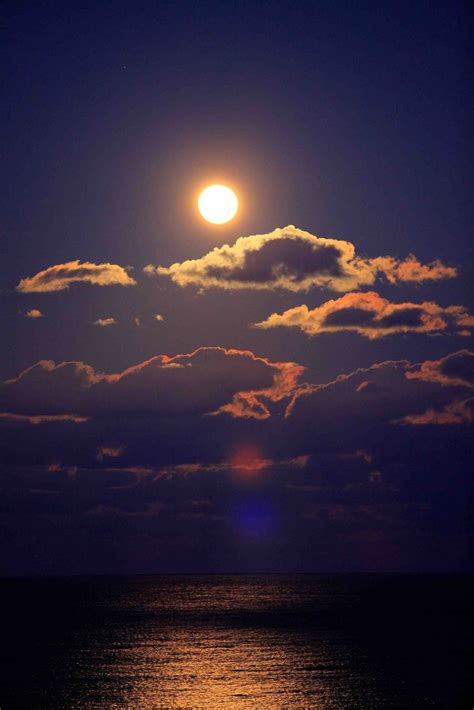 moonlight | Beautiful moon, Nature photography, Nature pictures