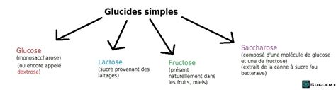 exemple de glucide simple