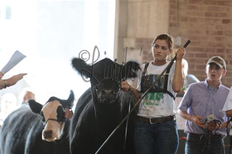 Linde’s Livestock Photography | Iowa State Fair Photos | The Pulse