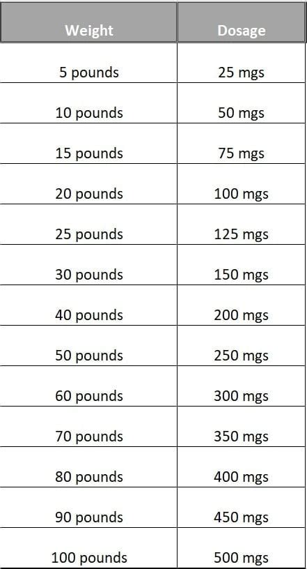 Human Amoxicillin For Dogs Dosage - What You Need To Know! (2024) - We Love Doodles