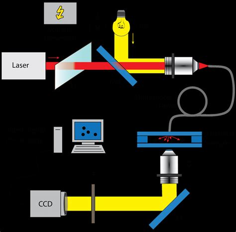 The experimental setup | Download Scientific Diagram