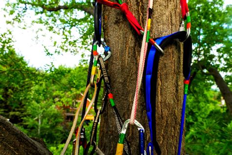 Tree Climbing Gear - GripOutdoor.com