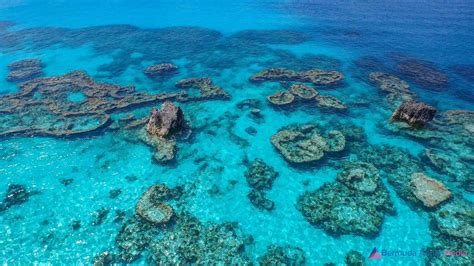 Reefs in Bermuda [2048x1152] : waterporn