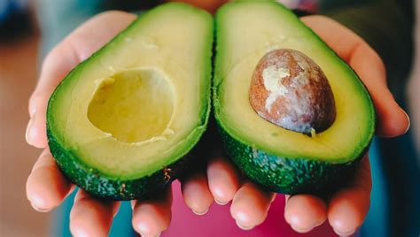 Can Dogs Eat Avocados? Everything You Need To Know – Dog Vet Tips