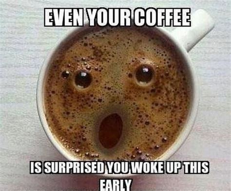 87 Funny Coffee Memes Are What You Need for the Daily Morning Grind