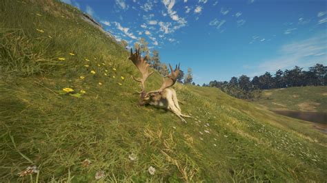 Fallow Deer Diamond / First day in the new map : r/theHunter