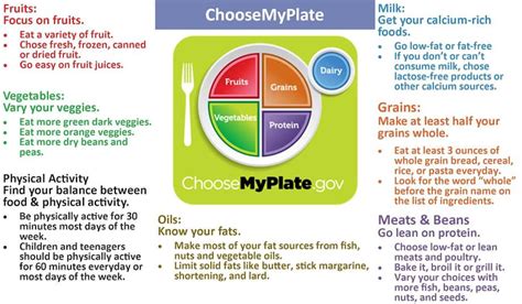 MyPlate: What a Healthy Meal Looks Like | Nutrition, Nutrition tips, Healthy food plate