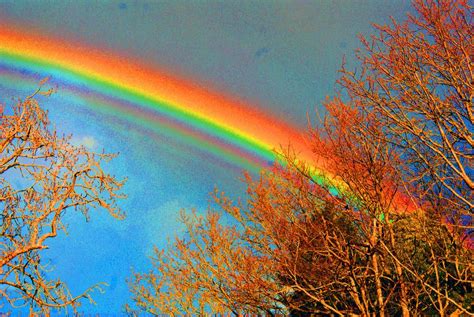 How are Rainbows Formed? – PodiumPro