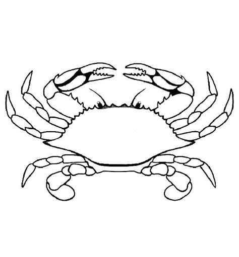 Crab coloring pages free printable PDF