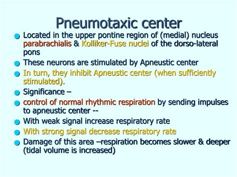 PPT - REGULATION of RESPIRATION PowerPoint Presentation, free download - ID:9140426