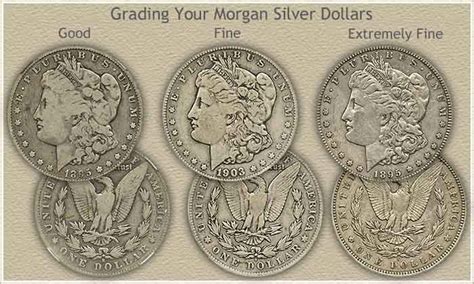 Rising Morgan Silver Dollar Values