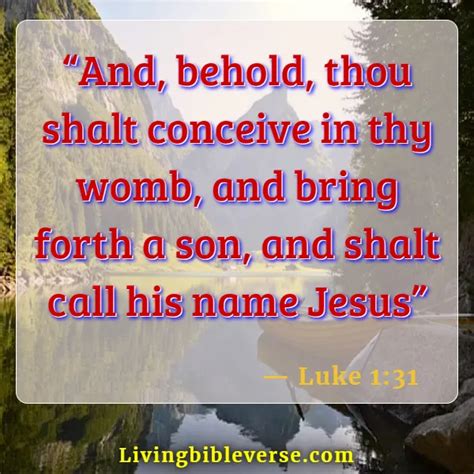 20+Bible Verses About Life Beginning At Conception (KJV) Scripture