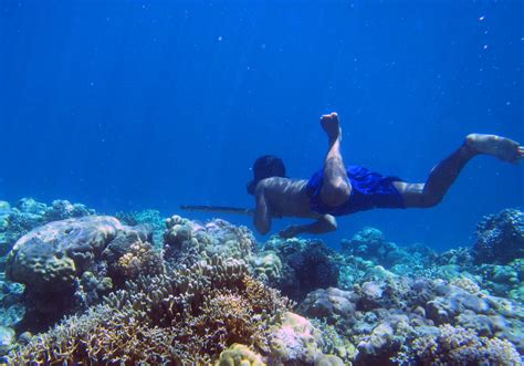 Indigenous Bajau People Evolved Larger Spleens for Free-Diving | Genetics | Sci-News.com