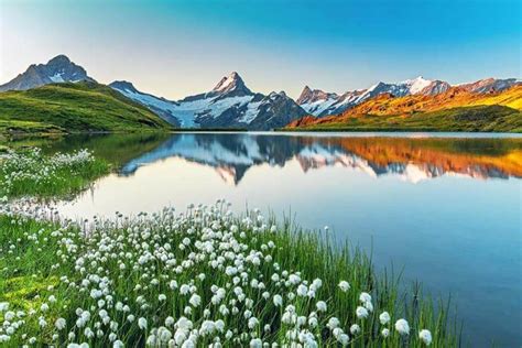 Bachalpsee Lake: How to Visit, Hiking Info & Map