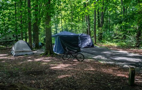 Take a trip to Davidson River Campground - Outdoorsy in Brevard, NC | Outdoorsy