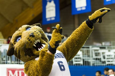 Wildcats are the 4th most common Division I mascot - VU Hoops